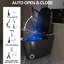 Toilette Smart Bidet avec couvercle de siège automatique, eau chaude, séchage à l'air, nuit, jet siphonique gris et modes multiples, bidet unique, siège ouvert / fermé, affichage à DEL instantané chauffant, lavage