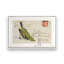 Courrier avec ailes, ensemble de 2 impressions-558502947-558502950-558502958