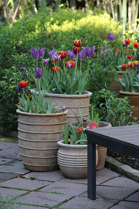 plantatorem-collection-terracotta