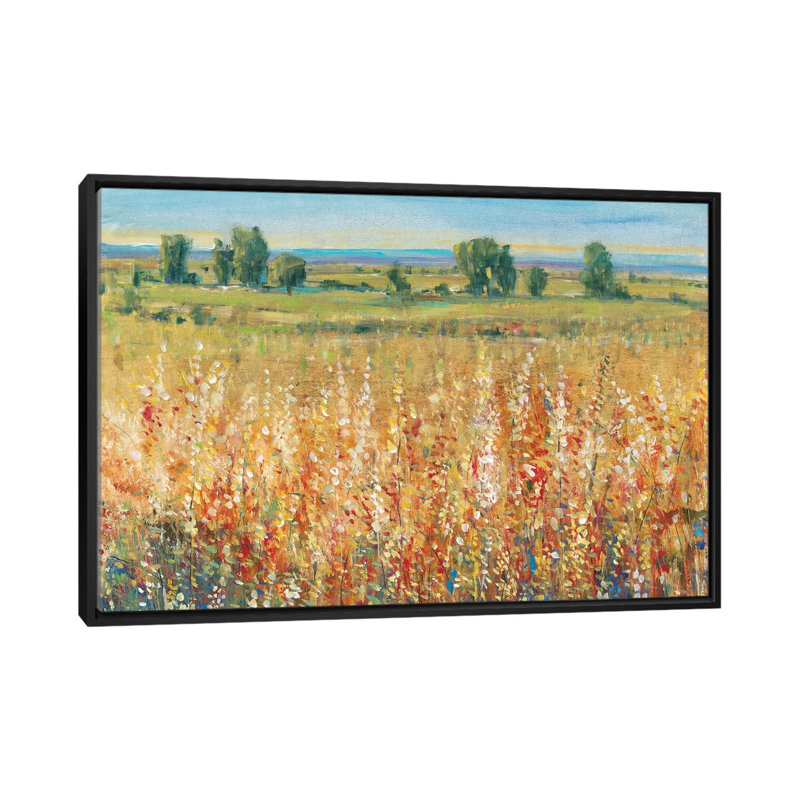 «Field II» par Timothy O 'Toole - impression sur toile tendue, H 32 po x l 48 po x P 1,5 po, Toile avec cadre noir