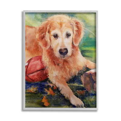 Ax-706-Giclee " Retriever Dog With Football " by MB Cunningham Painting Print