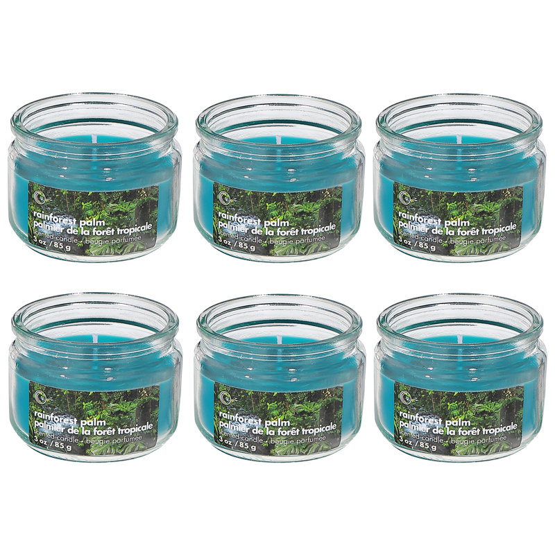 Ensemble de 6 pots en verre 3 oz