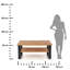 Abelius Sled Coffee Table with Storage