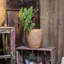 Faux Grass-Woven Cement Planter-1451856402