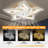 Modern Flush Mount Ceiling Fan With 25.2" Dimmable Led Light Kit, Rc, Reversible Blades, 6 Speeds - Swallow Tail
