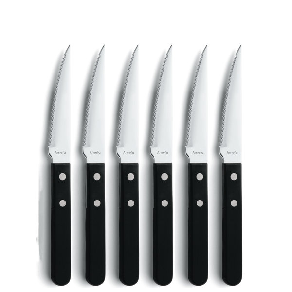 Amefa USA Corp Amefa Steak Knife Set, 6 Knives | Wayfair