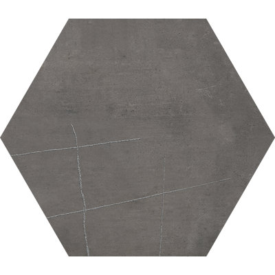 Carreau de porcelaine hexagonal en graphite Whitney Kai 3D en 20,47 po x 23,62 po
