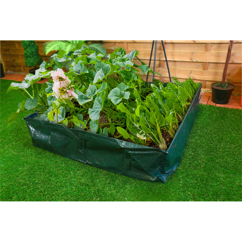 Growing Kit