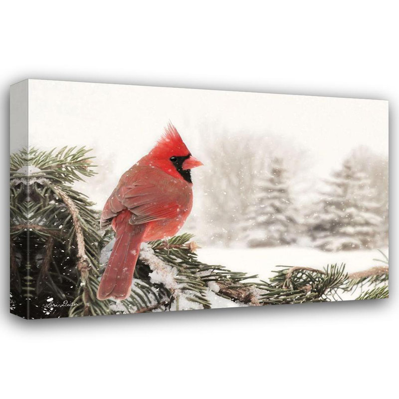 Art sur toile tendue avec Alcert Hill® Deiter, Lori Gallery: Winter Perch, H 33 po x l 48 po