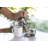 Stainless Steel Sugar and Creamer Set