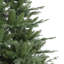 Sapin de Fraser Jasper Elite avec DEL