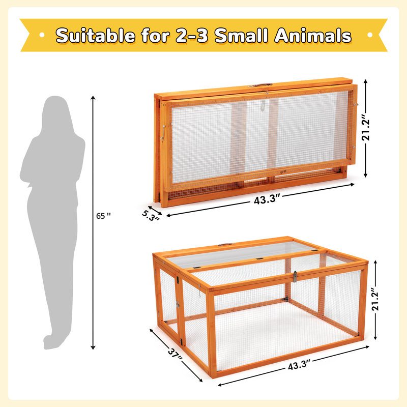 Chicken Coop