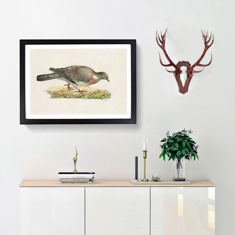 Common Wood Pigeon by Von Wright - Picture Frame Painting Print on MDF, Black Framed, 27cm H x 36cm W x 2cm D