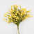 White sélectionné