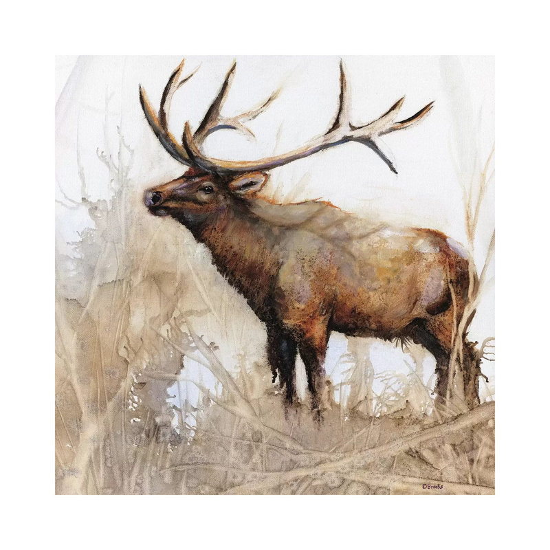 Majestic Moose by Donna Brooks - Wrapped Canvas Gallery-Wrapped Canvas Giclée, 30.48 cm H x 30.48 cm W