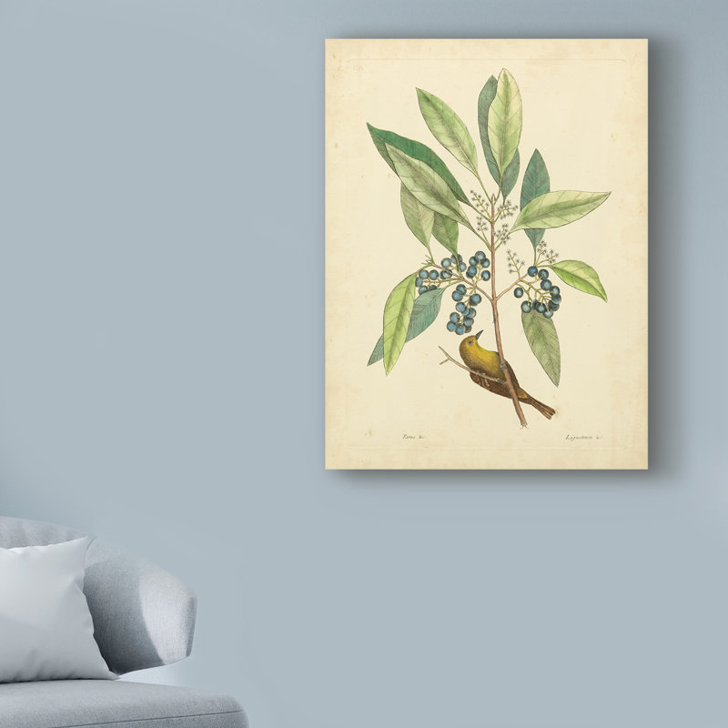 «Bird and Botanical V», reproduction sur toile tendue, H 19 po x l 14 po x P 2 po