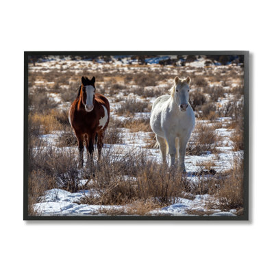 " Pair Horses Walking Through Snow Dusted Grassland " by Jeff Poe Photography