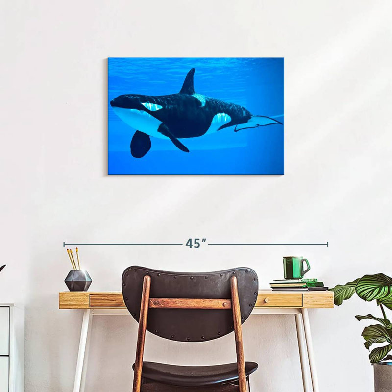 Brampt Friendly Killer Whale, 20" H x 30" W
