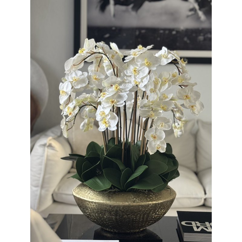 Blaze Bowl With Phalaenopsis Orchids, White