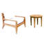Noida Outdoor Lounge Chair