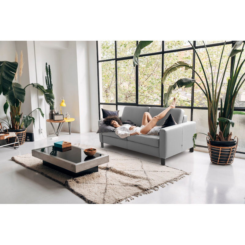 Najmul Genuine Leather Foldable Sofabed with Mattress, Light Grey