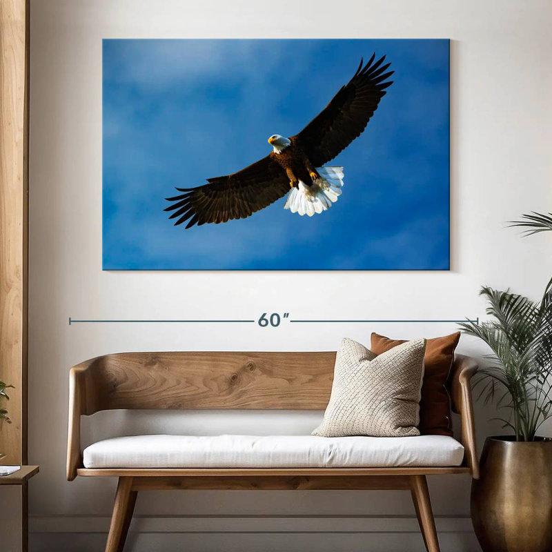 Brampt Eagle From Below, 34" H x 51" W