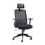 Hinton Polyester Blend Office Chair with Headrest