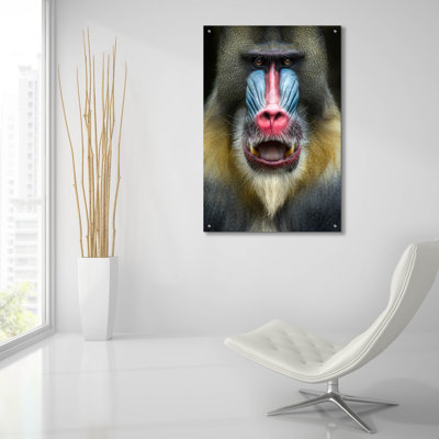 " Mandrill 2 " by SD Smart