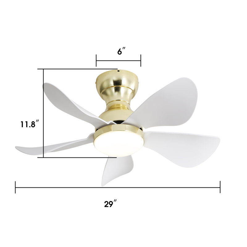 Kemp 29" 5-ABS-Blade Small Classic Flush Mount Ceiling Fan with LED Lights and Remote, Gold/Gray