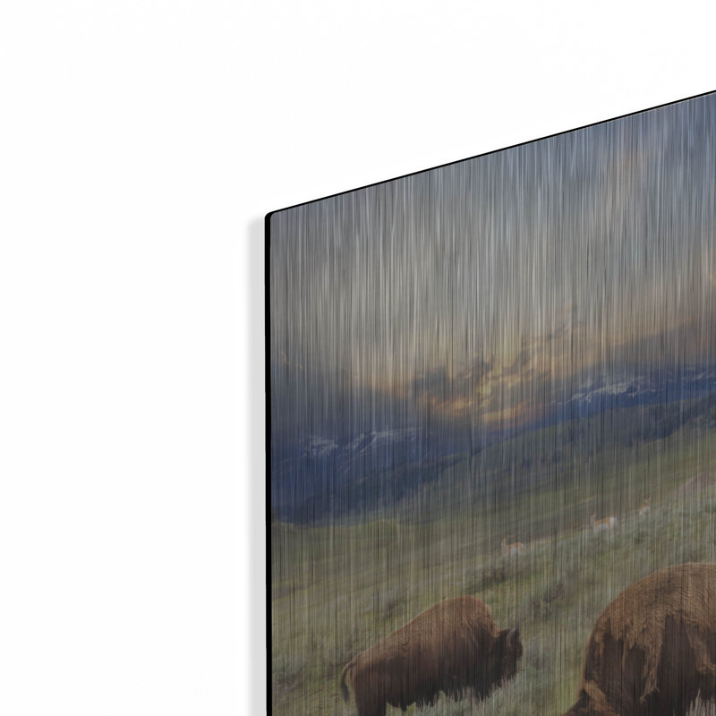 «Great American West» par Lori Deiter, H 16 po x l 12 po