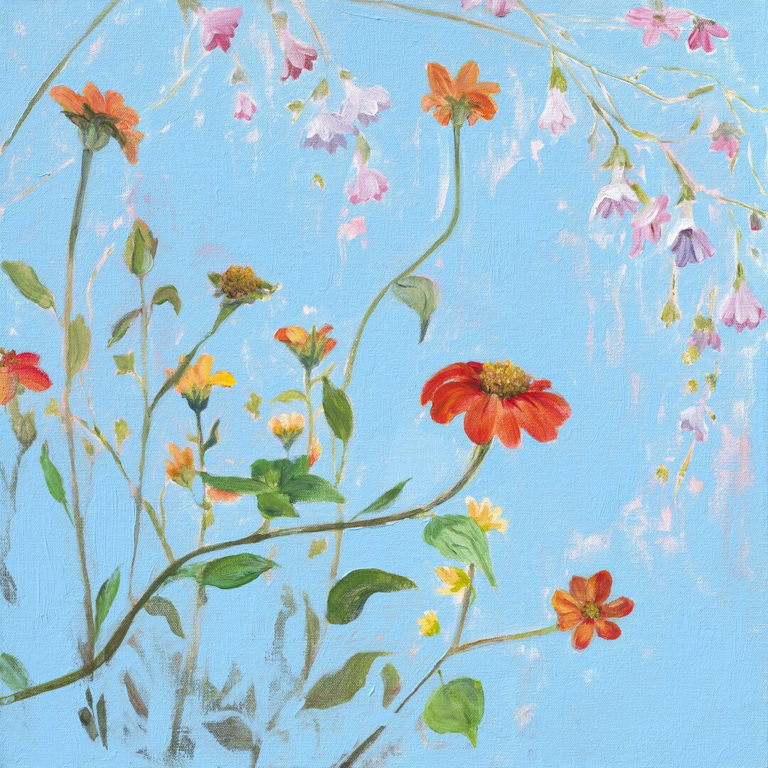 Leinwandbild Wild Flowers on Cerulean IV von Sandra Iafrate