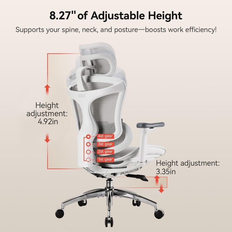 Chaise d'ordinateur C300, chaise ergonomique avec accoudoirs 4D, soutien lombaire dynamique, pour la maison et les jeux