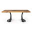 Table de salle à manger rectangulaire Fello, 72 x 36 x 30,6-1248909602