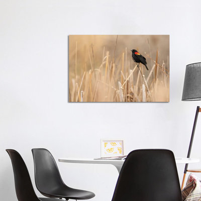Extreme Photography 1 Piece Wrapped Canvas Wall Art
