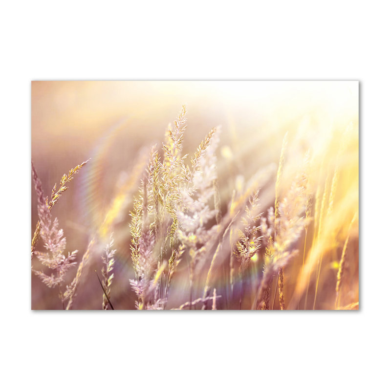 Tall Grass - Wrapped Canvas Print