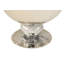 Fredericks Glass Table Vase-511547627-511547631