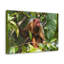 Art mural majestueux Uakari-1017204611