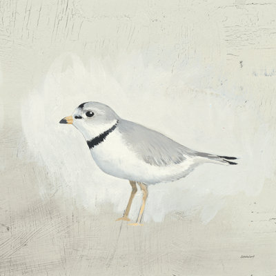 Oiseaux de mer IV