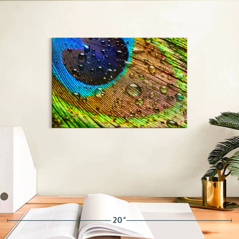 Kerner Wet Peacock Feather, 8" H x 12" W