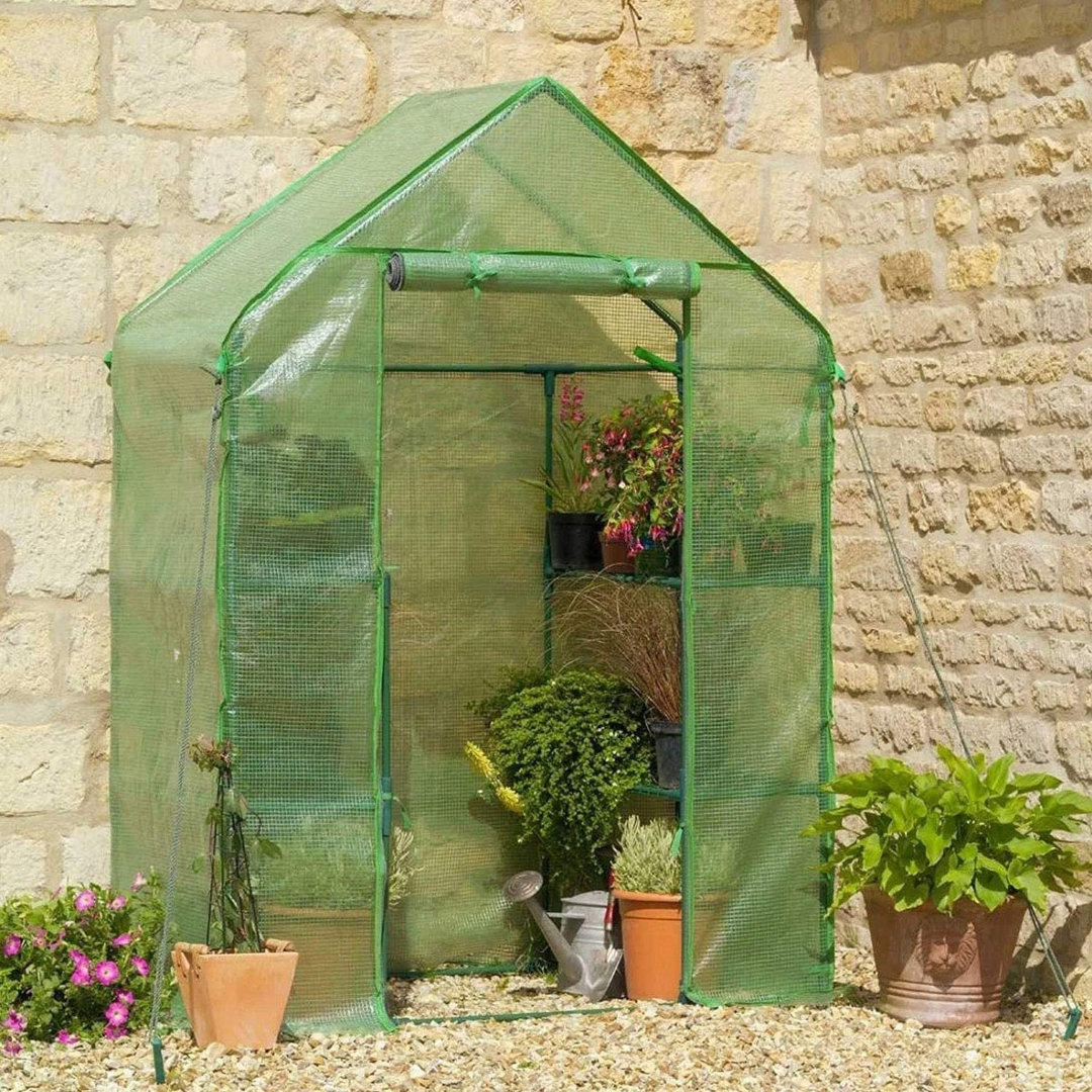 Mappsville 4.8 Ft W x 2.4 Ft D Hobby Greenhouse
