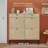 16 Pair Shoe Storage Cabinet