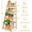 Plant Stand-720344905