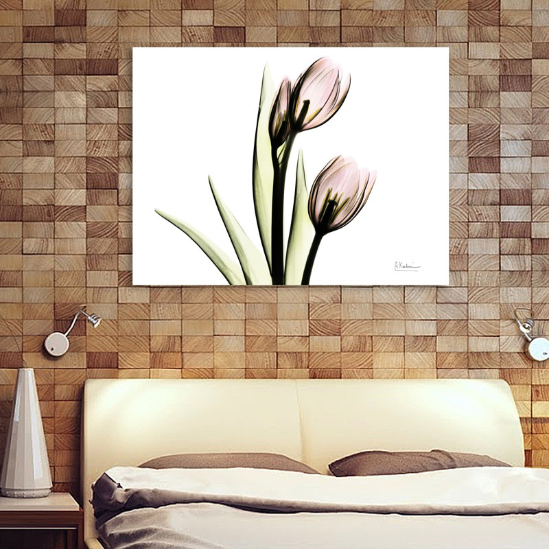 Tulip Love H37 - Wrapped Canvas Print, 30 cm H x 41 cm W