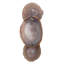 Trinity 1 - Light Armed Sconce
