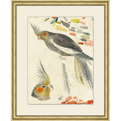Lewin's Parrots 2 Painting
