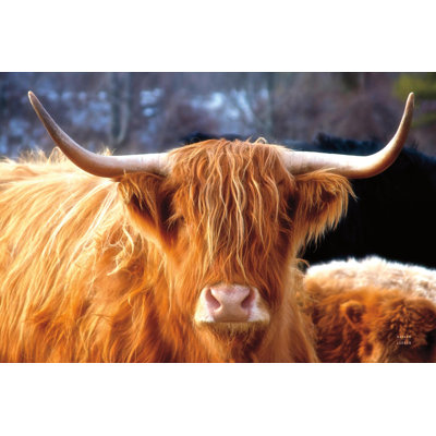 Imprimé Highland Cow Sunshine
