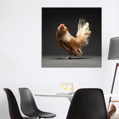 Barbu De Watermael by CHICken - Wrapped Canvas Print