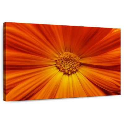Harnek Macro Orange Flower