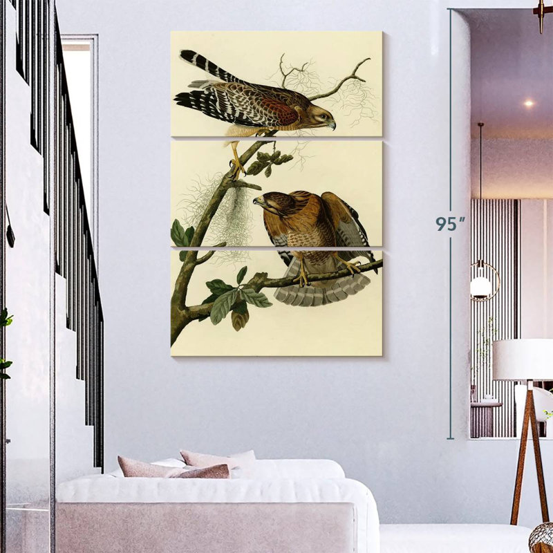 Ronce à faucon à épines d'oiseaux d'Amérique, H 74 po x l 48 po