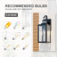 Schlesinger Motion Sensor Outdoor Wall Light